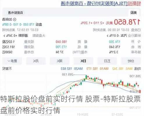 特斯拉股价盘前实时行情 股票-特斯拉股票盘前价格实时行情